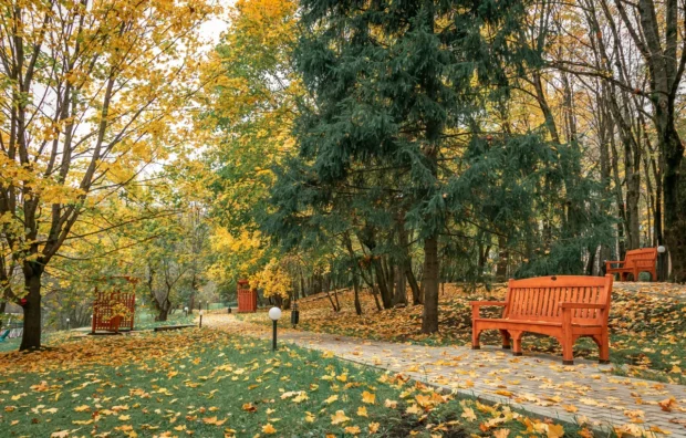 Загородный отель «Планерное»