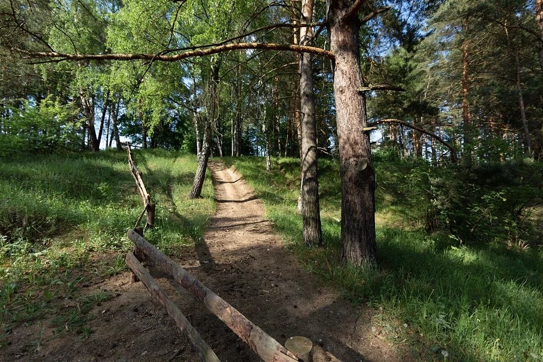 Глэмпинг Лесной Привал