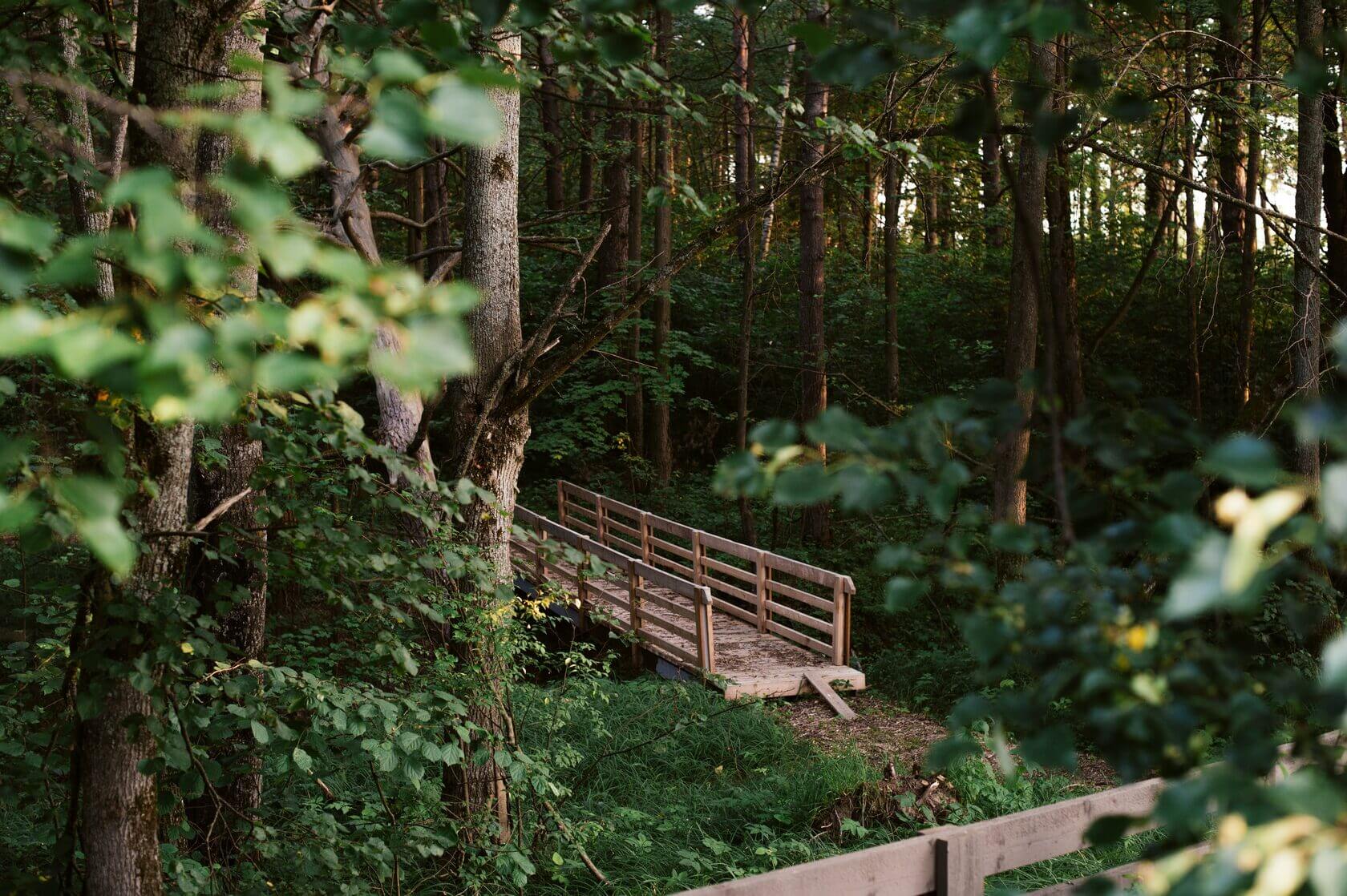 База отдыха Wish Home Дубовая роща