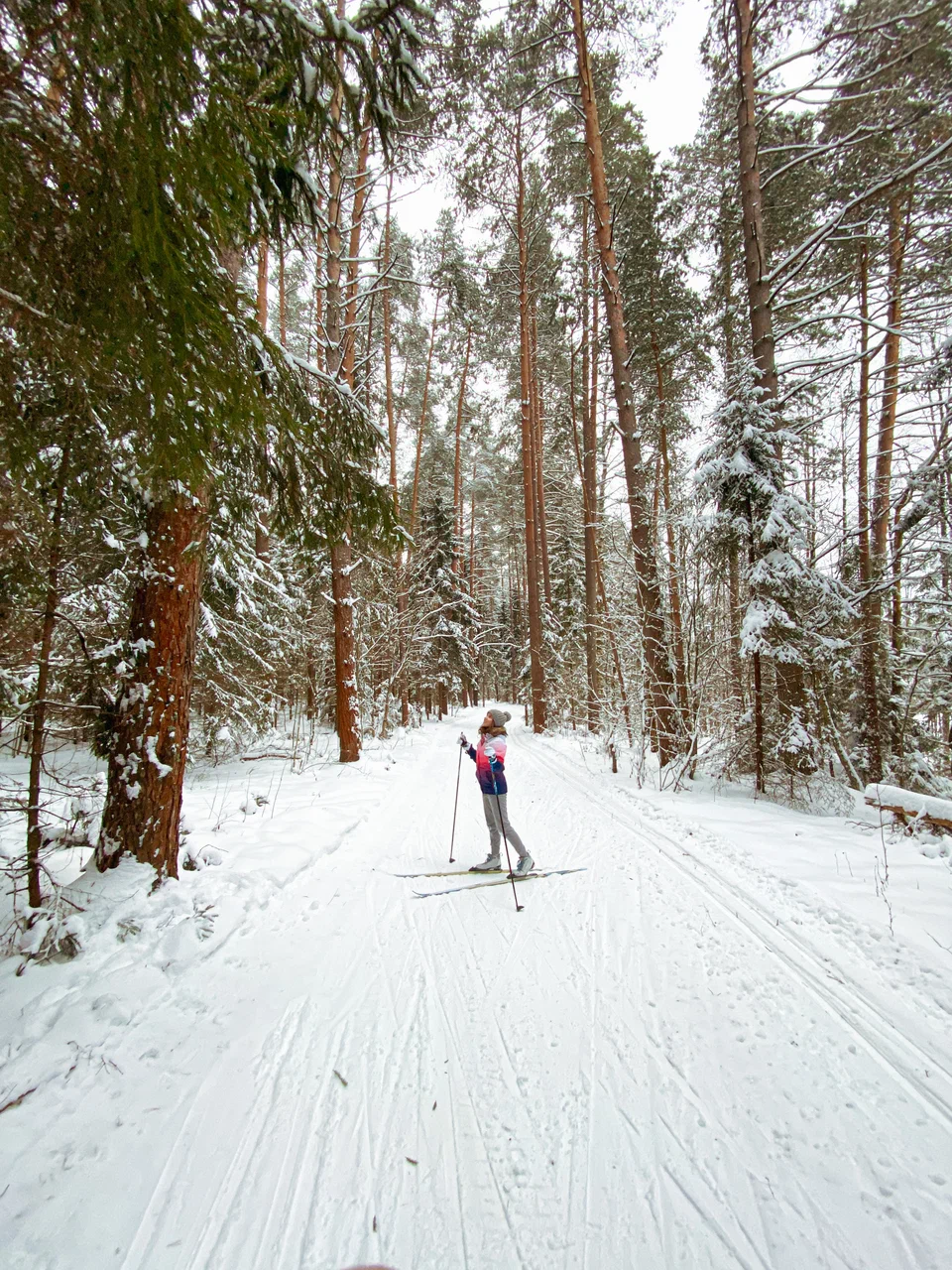 База отдыха Любляна