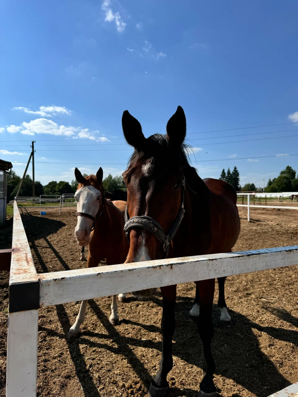 База отдыха Wish Home Яхрома