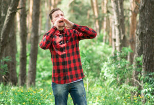 Выживание в лесу: инструкция