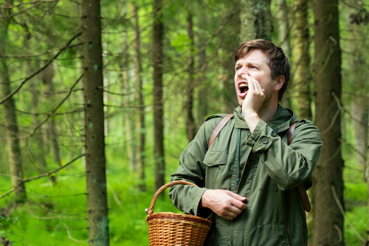 Заблудился в лесу: что делать