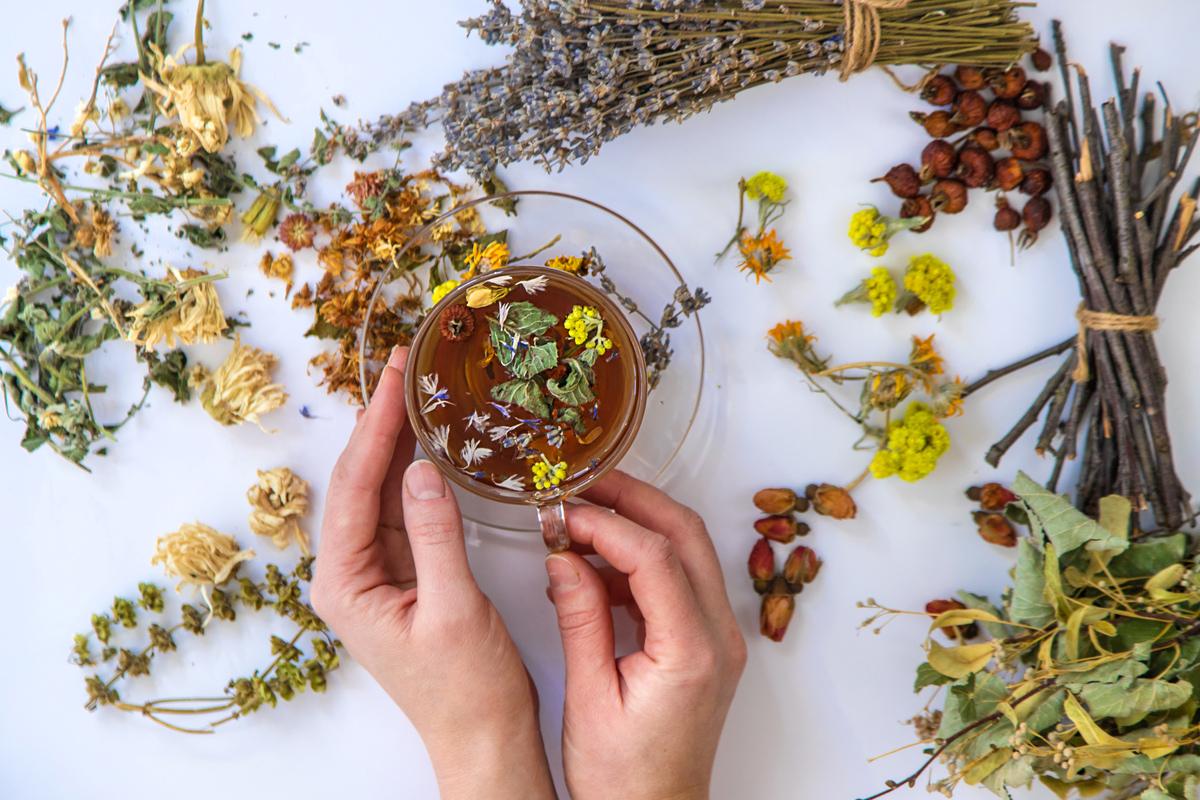 Целебные травы для чая