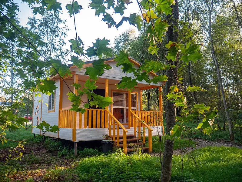 Глэмпинг Модная коза