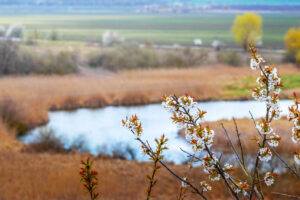 Особенности климата Московской области по сезонам