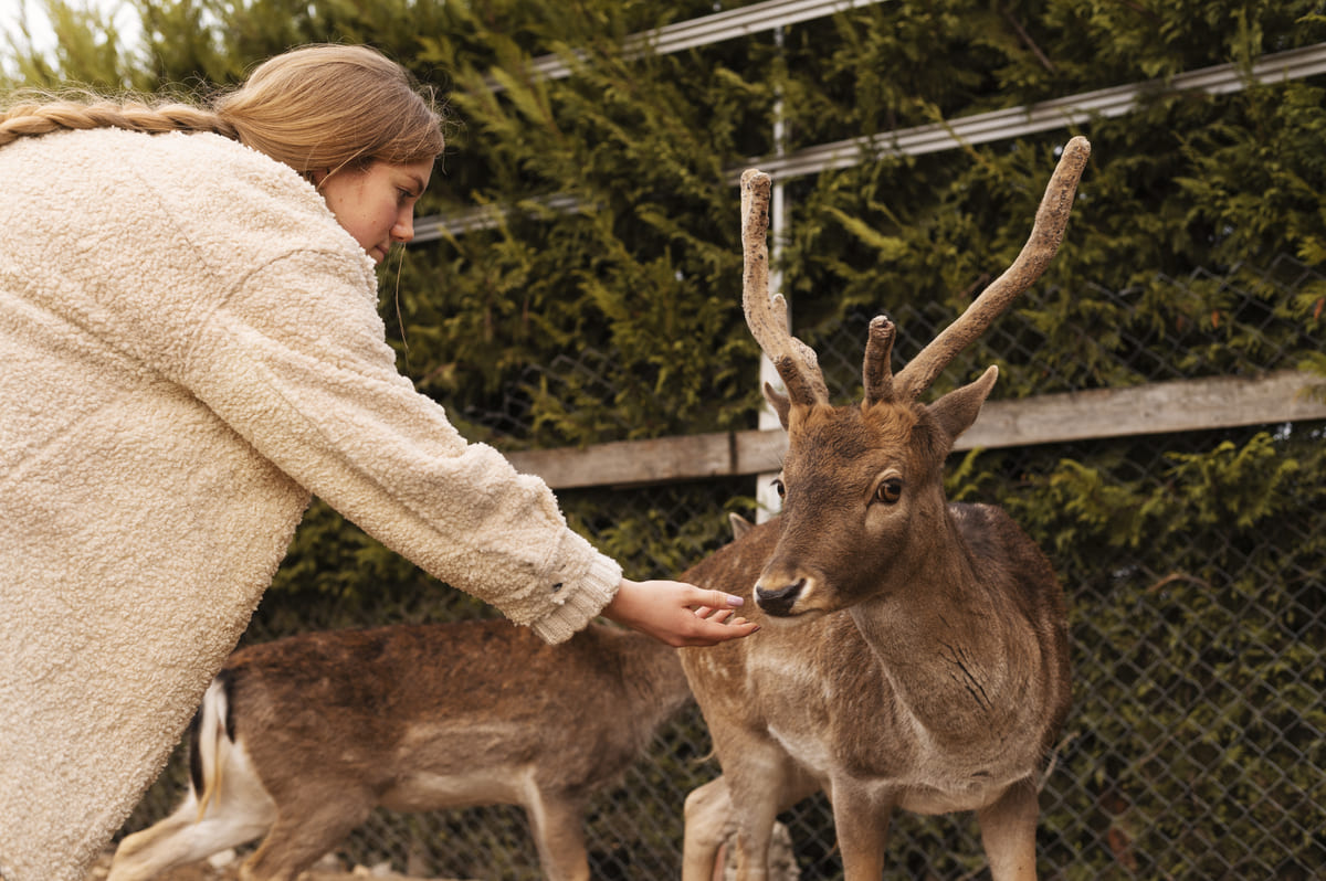 Олени в Подмосковье где увидеть фермы и питомники