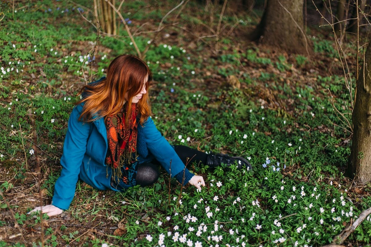Правила наблюдения за эфемероидами без вреда природе